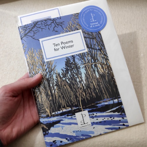 Ten Poems for Winter Pamphlet by Alexandra Buckle