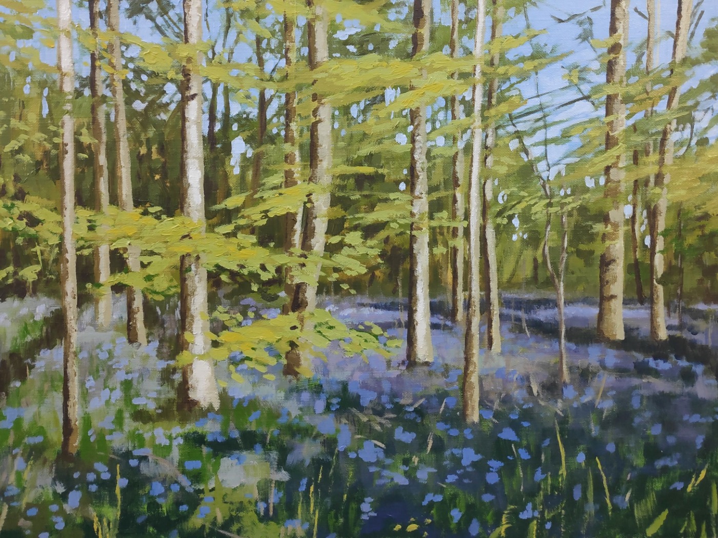 Bluebell Wood study by Alexandra Buckle