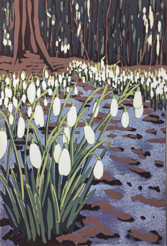 Snowdrops and Melting Snow by Alexandra Buckle
